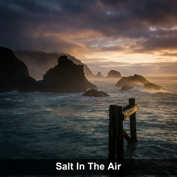 Salt In The Air